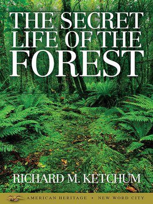 cover image of The Secret Life of the Forest